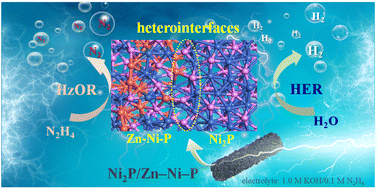 Graphical abstract: Hierarchical Ni2P/Zn–Ni–P nanosheet array for efficient energy-saving hydrogen evolution and hydrazine oxidation