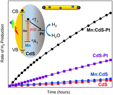Graphical abstract: Facilitated electron transfer by Mn dopants in 1-dimensional CdS nanorods for enhanced photocatalytic hydrogen generation