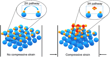 Graphical abstract: The lattice strain dominated catalytic activity in single-metal nanosheets