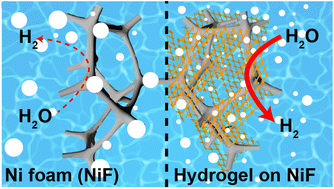 Graphical abstract: Nanofibrillar hydrogels outperform Pt/C for hydrogen evolution reactions under high-current conditions
