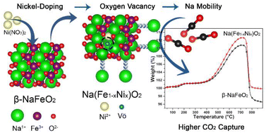 Graphical abstract: Unveiling the different physicochemical properties of M-doped β-NaFeO2 (where M = Ni or Cu) materials evaluated as CO2 sorbents: a combined experimental and theoretical analysis