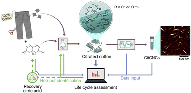 Graphical abstract: Citrated cellulose nanocrystals from post-consumer cotton textiles