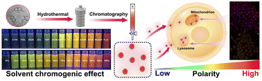 Graphical abstract: Red emissive carbon dots as a fluorescent sensor for fast specific monitoring and imaging of polarity in living cells