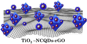 Graphical abstract: Outstanding visible light photocatalysis using nano-TiO2 hybrids with nitrogen-doped carbon quantum dots and/or reduced graphene oxide