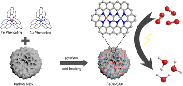 Graphical abstract: Fe, Cu dual-metal single atom catalyst on commercial carbon black for efficient oxygen reduction reaction