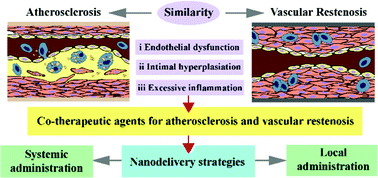 Graphical abstract: Recent advances in inhibiting atherosclerosis and restenosis: from pathogenic factors, therapeutic molecules to nano-delivery strategies