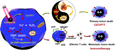 Graphical abstract: Cu-Chelated polydopamine nanoparticles as a photothermal medium and “immunogenic cell death” inducer for combined tumor therapy