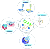 Graphical abstract: Dynamic protein and polypeptide hydrogels based on Schiff base co-assembly for biomedicine