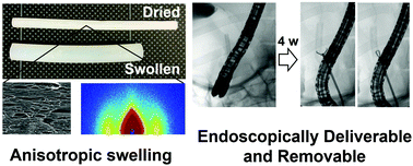 Graphical abstract: Characterization and preliminary in vivo evaluation of a self-expandable hydrogel stent with anisotropic swelling behavior and endoscopic deliverability for use in biliary drainage