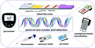 Graphical abstract: Diagnosis of disease relevant nucleic acid biomarkers with off-the-shelf devices