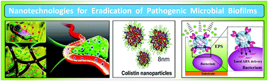 Graphical abstract: Nanotechnologies for control of pathogenic microbial biofilms