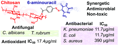 Graphical abstract: Chitosan with pendant (E)-5-((4-acetylphenyl)diazenyl)-6-aminouracil groups as synergetic antimicrobial agents