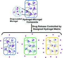 Graphical abstract: Design of hydrogel–microgel composites with tailored small molecule release profiles