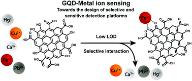 Graphical abstract: Metal ion sensing with graphene quantum dots: detection of harmful contaminants and biorelevant species
