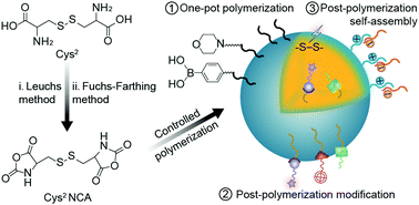 Graphical abstract: Rational construction of polycystine-based nanoparticles for biomedical applications