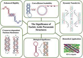 Graphical abstract: Nucleic acid paranemic structures: a promising building block for functional nanomaterials in biomedical and bionanotechnological applications