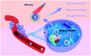Graphical abstract: Tumor-responsive nanomedicine based on Ce3+-modulated up-/downconversion dual-mode emission for NIR-II imaging-guided dynamic therapy