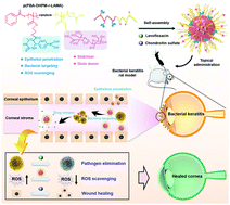 Graphical abstract: ROS-scavenging glyco-nanoplatform for synergistic antibacterial and wound-healing therapy of bacterial keratitis