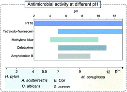 Graphical abstract: Polythiophene as a near full pH photo-antimicrobial