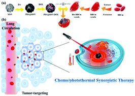 Graphical abstract: Long circulation and tumor-targeting biomimetic nanoparticles for efficient chemo/photothermal synergistic therapy