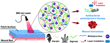 Graphical abstract: A hemostatic keratin/alginate hydrogel scaffold with methylene blue mediated antimicrobial photodynamic therapy