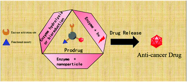 Graphical abstract: Enzyme-activated prodrugs and their release mechanisms for the treatment of cancer
