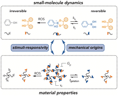 Graphical abstract: Connecting the dynamics and reactivity of arylboronic acids to emergent and stimuli-responsive material properties
