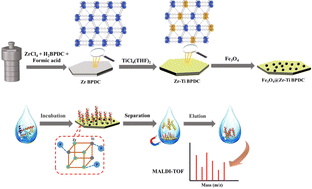 Graphical abstract: Two-dimensional magnetic bimetallic organic framework nanosheets for highly efficient enrichment of phosphopeptides