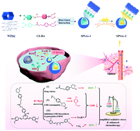 Graphical abstract: Host–guest interaction-based supramolecular prodrug self-assemblies for GSH-consumption augmented chemotherapy