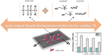 Graphical abstract: Ionic liquid-based electroactive materials: a novel approach for cardiac tissue engineering strategies