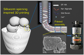 Graphical abstract: Silkworm spinning inspired 3D printing toward a high strength scaffold for bone regeneration