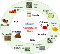 Graphical abstract: Biobased polymer resources and essential oils: a green combination for antibacterial applications