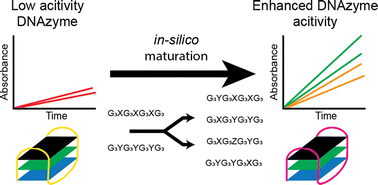 Graphical abstract: Enhancement of DNAzymatic activity using iterative in silico maturation
