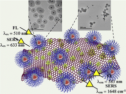 Graphical abstract: Novel metal enhanced dual-mode fluorometric and SERS aptasensor incorporating a heterostructure nanoassembly for ultrasensitive T-2 toxin detection