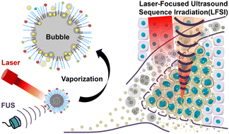 Graphical abstract: Multifunctional theragnostic ultrasmall gold nanodot-encapsuled perfluorocarbon nanodroplets for laser-focused ultrasound sequence irradiation (LFSI)-based enhanced tumor ablation