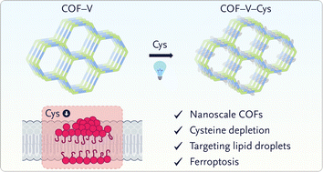 Graphical abstract: A vinyl-decorated covalent organic framework for ferroptotic cancer therapy via visible-light-triggered cysteine depletion