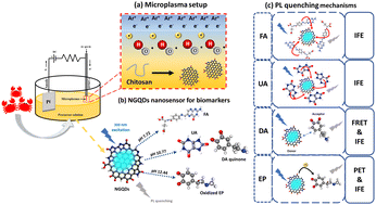 Graphical abstract: Bioresource-derived colloidal nitrogen-doped graphene quantum dots as ultrasensitive and stable nanosensors for detection of cancer and neurotransmitter biomarkers