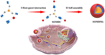 Graphical abstract: A supramolecular organometallic drug complex with H2O2 self-provision intensifying intracellular autocatalysis for chemodynamic therapy