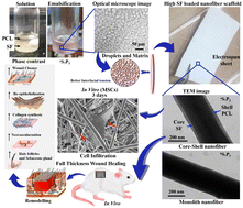Graphical abstract: High fibroin-loaded silk-PCL electrospun fiber with core–shell morphology promotes epithelialization with accelerated wound healing