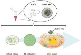 Graphical abstract: Hybrid nano-architectures loaded with metal complexes for the co-chemotherapy of head and neck carcinomas