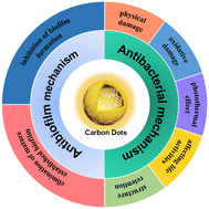 Graphical abstract: Antibacterial and antibiofilm mechanisms of carbon dots: a review