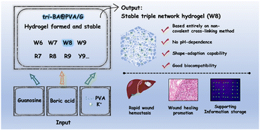 Graphical abstract: A novel triple-network hydrogel based on borate ester groups: from structural modulation to rapid wound hemostasis