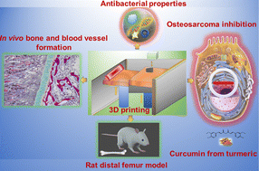 Graphical abstract: In vivo and In vitro properties evaluation of curcumin loaded MgO doped 3D printed TCP scaffolds