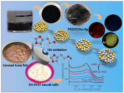 Graphical abstract: In situ engineering of Au–Ag alloy embedded PEDOT nanohybrids at a solvent/non-solvent interface for the electrochemical enzyme-free detection of histamine