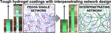 Graphical abstract: Interpenetrating network design of bioactive hydrogel coatings with enhanced damage resistance