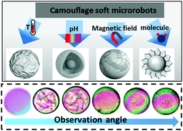 Graphical abstract: Deformable, sensible, and reconfigurable microgels with structural color: potential as camouflage soft microrobots
