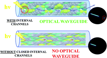 Graphical abstract: New insights into structure/optical waveguide behavior relationships in linear bisethynylbenzenes