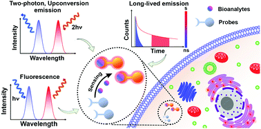 Graphical abstract: Progress and perspectives: fluorescent to long-lived emissive multifunctional probes for intracellular sensing and imaging