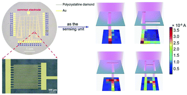 Graphical abstract: Wafer-sized polycrystalline diamond photodetector planar arrays for solar-blind imaging