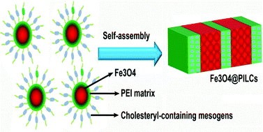 Graphical abstract: Liquid-crystalline ferroferric oxide nanocomposites: self-assembly and magnetorheological effects